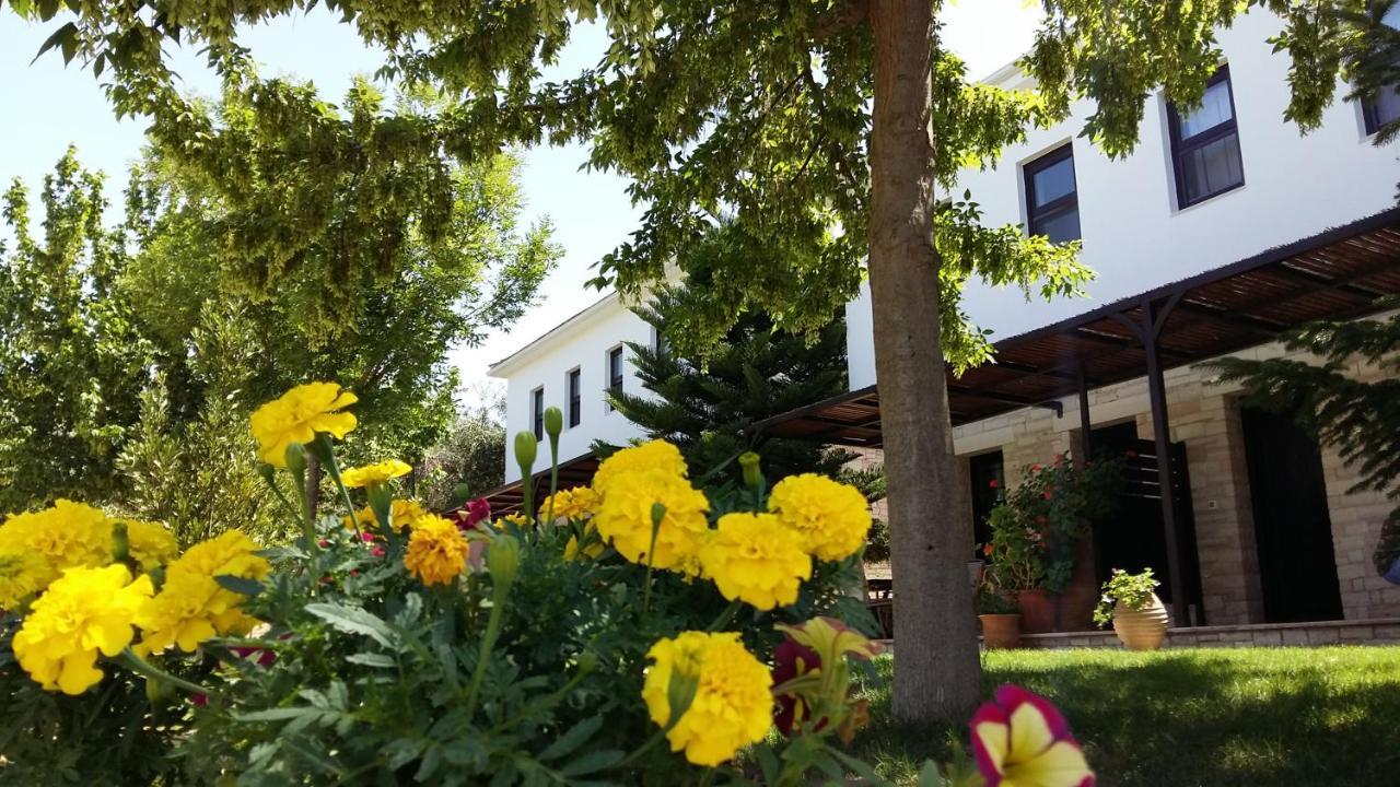 Sivota Apartments Athina 외부 사진