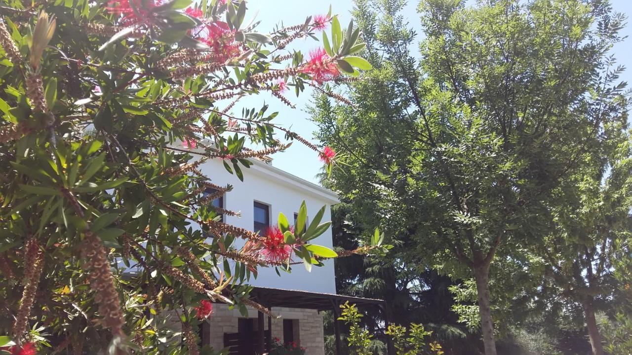 Sivota Apartments Athina 외부 사진